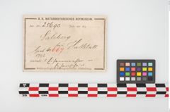 Foto von Eisendolchmesser (NHMW-PRAE-025690)